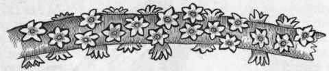 Fig. 72. Part of the living stem of Antipathes anguina, of the natural size.