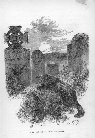 The Cat which died of Grief.