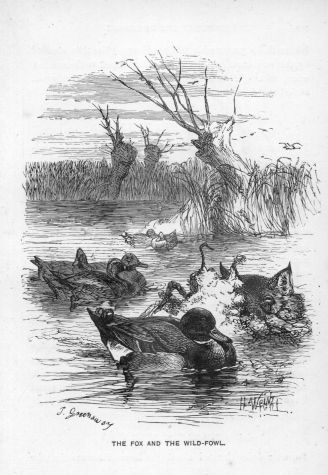 The Fox and the Wild-Fowl.