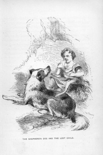 The Shepherd’s Dog and the lost Child.