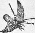 Selection Of Breeders 19