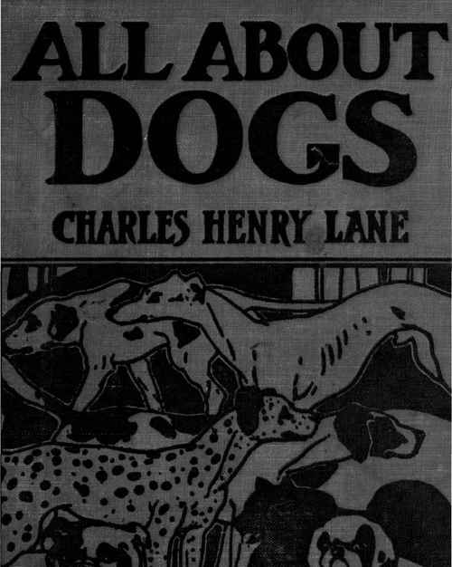 All About Dogs A Book For Doggy People