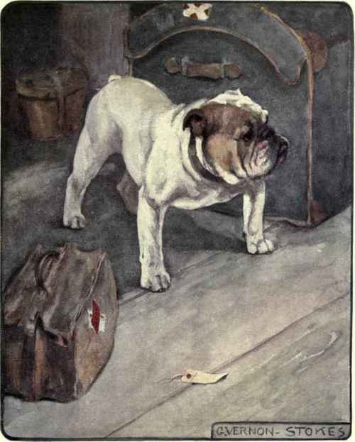 The Bulldog.