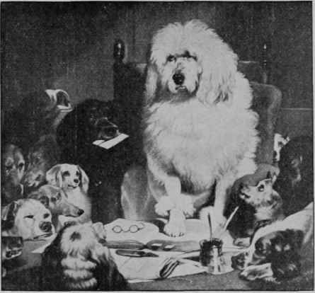TRICK DOGS.