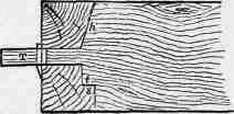 Fig. 175. Tusk Tenon through Narrow Girder.