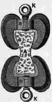 Fig. 86. Curve of jaws.