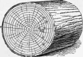 Timber Properties Of Timber Part 2 244