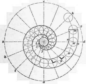 43 Curtail Step 53