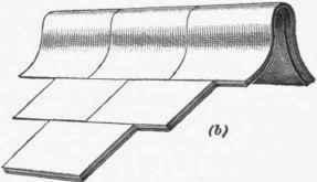 Tiles 350