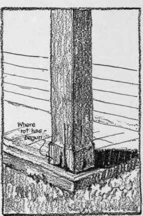 Solid Column