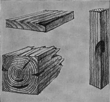 Waney edges Star and ring shakes Knots, Common timber defects