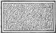 Fig. 8a.   Fine Pointed.