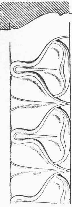 FIG. 5. PLATE V. Typical Forms of Greek Decorated Mouldings