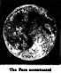 The Lady In The Moon.