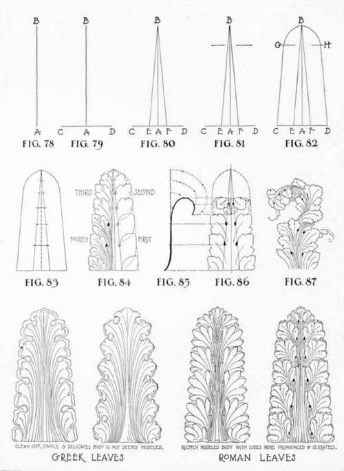 Article VIII Acanthus Leaf 78
