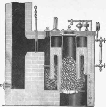 Section.