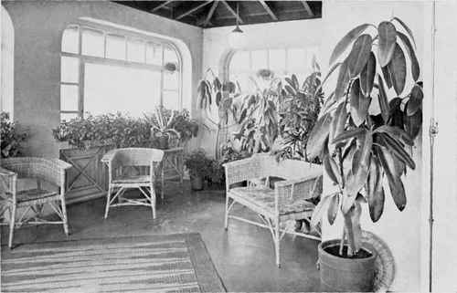 South Sun Room of Cousin Tom's House.