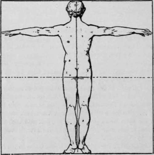 The human figure inscribed within a square.