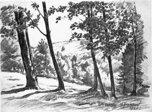 Pencil Sketch By M. R. Hermann.