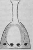 328 Preparation Of The Emulsion 99