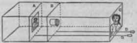 Lesson W Enlargements And Lantern Slides 117