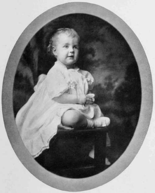 From An Artura Iris Print By Miss Reineke Kansas City, Mo.
