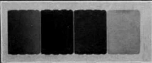 The Flash Light In Portraiture StudioLightMagazine1918 13