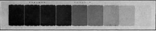 The Flash Light In Portraiture StudioLightMagazine1918 14