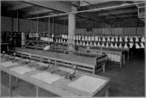U S School Of Aerial Photography StudioLightMagazine1918 152