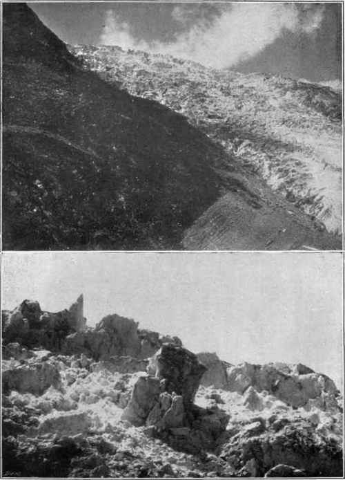Plate IX [E. & H. Spitta, Photos.