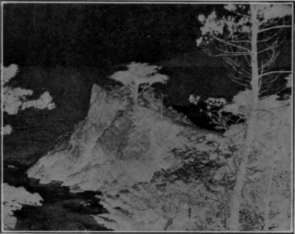 Average Negative of Medium Contrast.