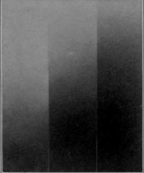Contrast Velox