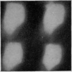 Fig. 118 B