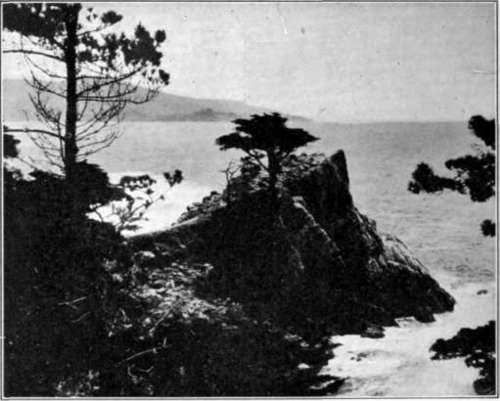 Fig. 81. Print Showing Blocked Shadows.