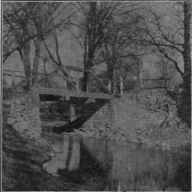 Fig. 82. Gray, Flat Print.