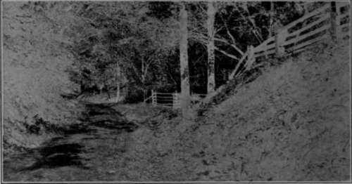 Fig. 95. b