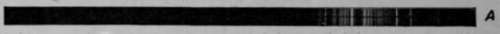 Orthochromatic Photography Part 2 145