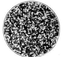 The Structure Of The Developed Image Continued 48
