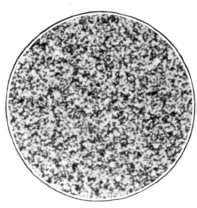 The Structure Of The Developed Image Continued 49