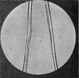 Fibers And Their Production 10