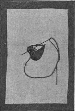 Fig. 260. Matting.