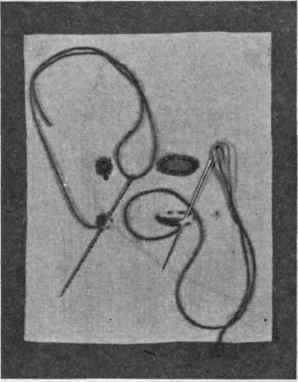 Fig. 261. Eyelets.