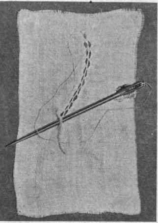 Fig. 262. Bermuda fagotting.