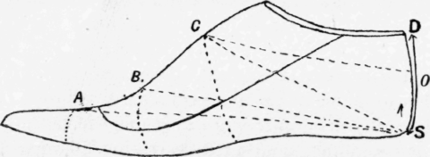 Fig. 104