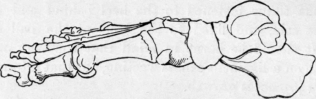 Fig. 12.