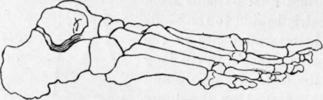 Fig. 13.