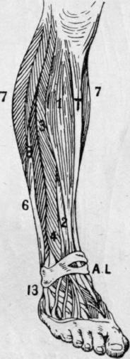 Fig. 15.