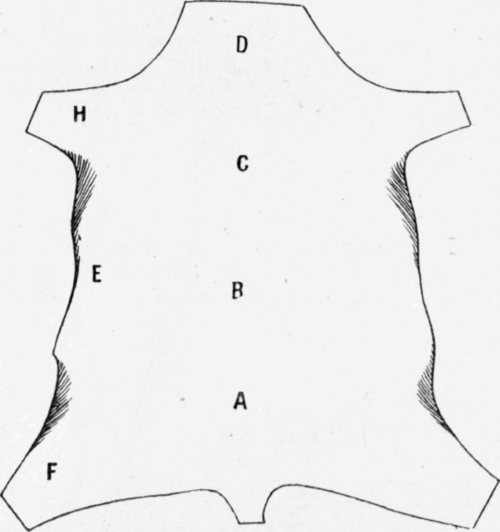 Fig. 161.