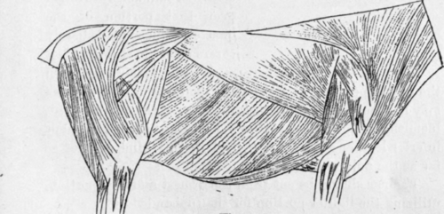 Fig. 179.