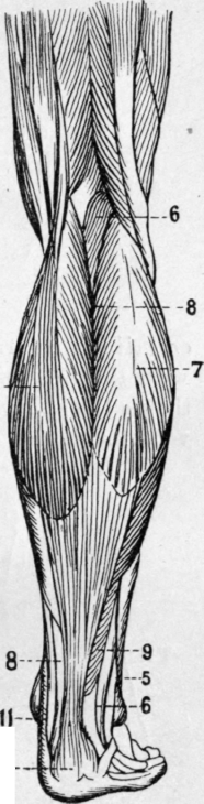 Fig. 18.